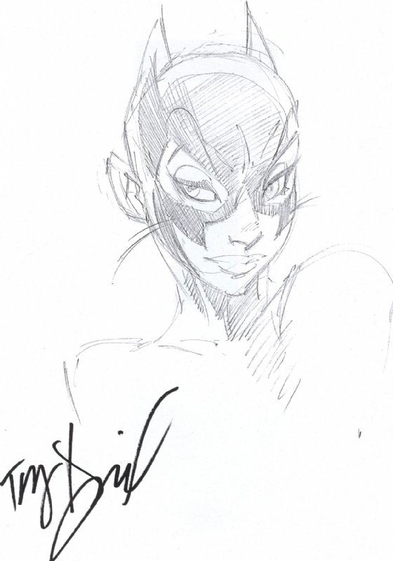 Tony Daniel Catwoman In Fons Van Erps Catwoman Gallery Comic Art